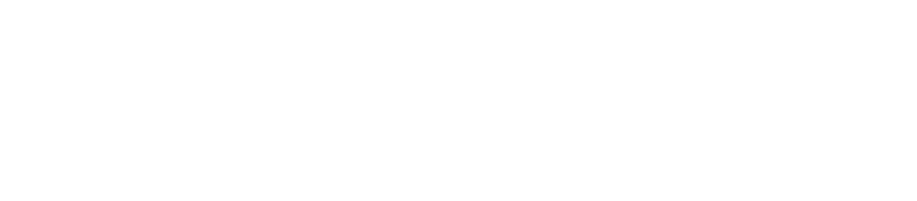 rapport logo white borderless